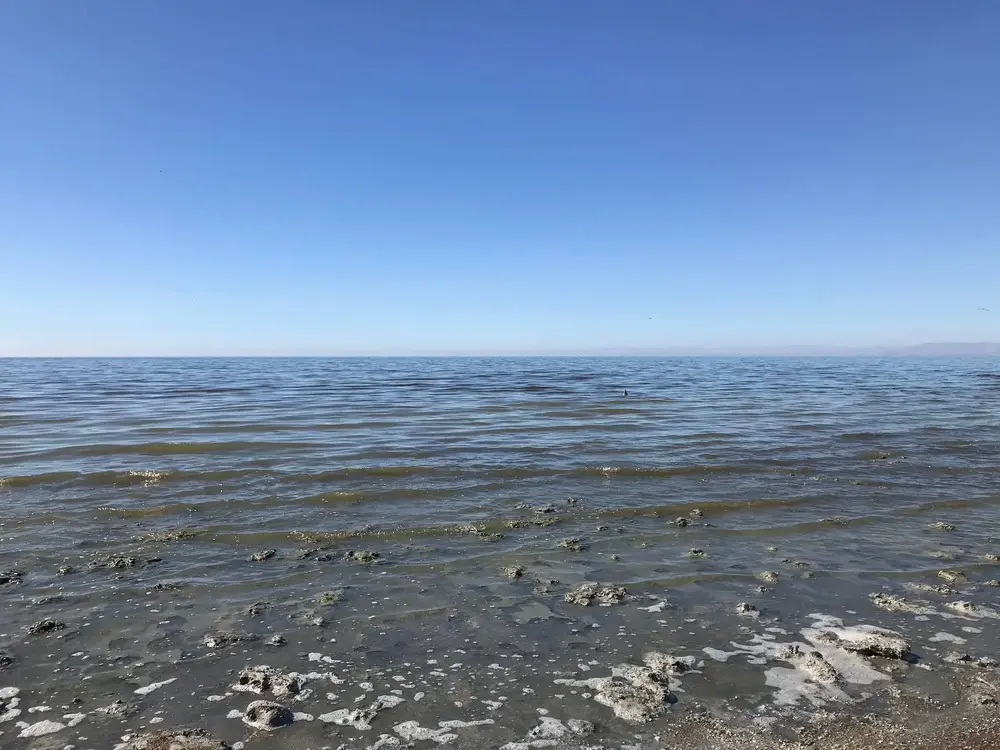 Sea shore at Bombay Beach