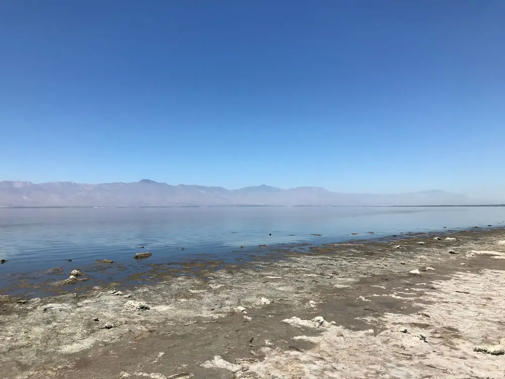 Salton Sea Shore, Mecca Beach
